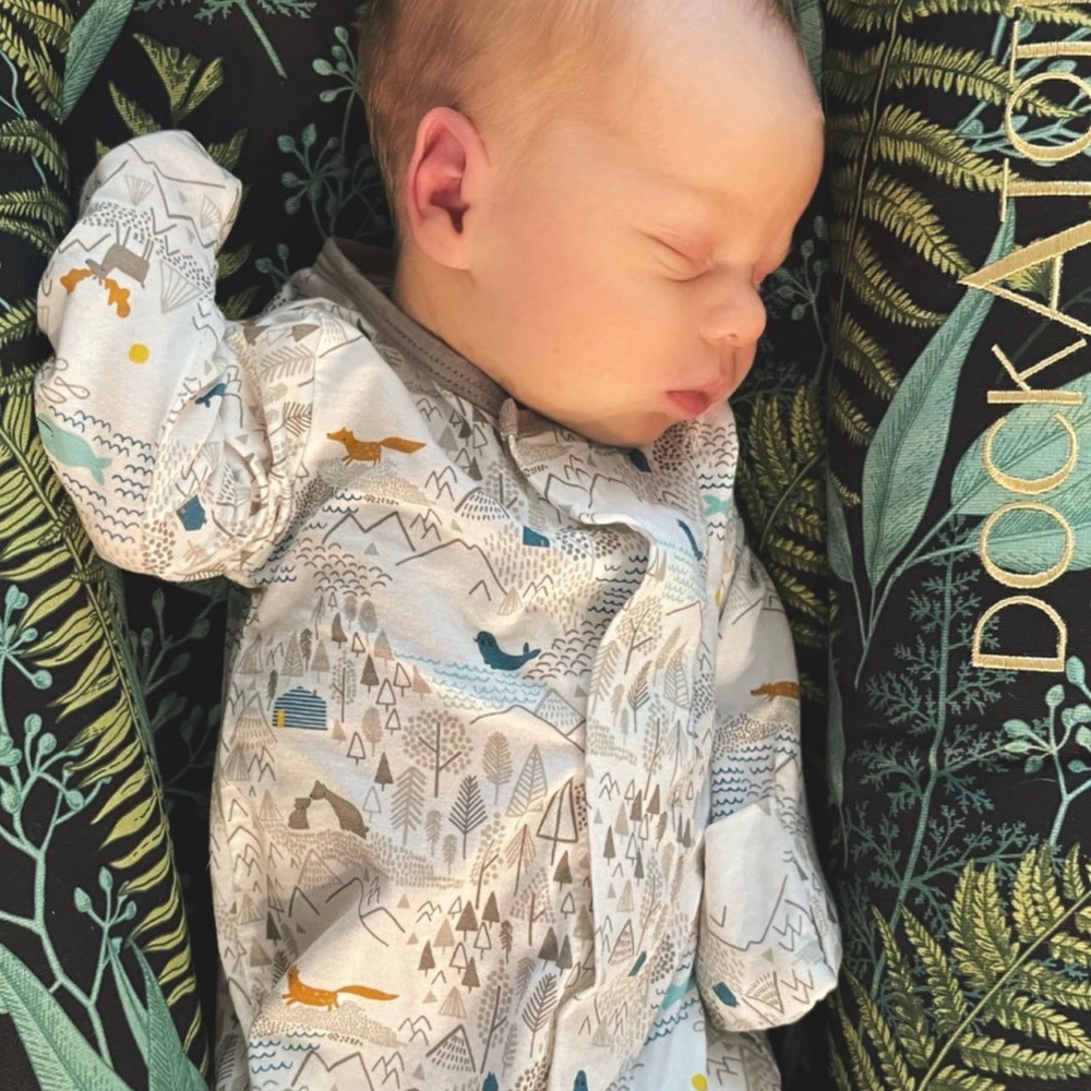 Fern Print DockaTot Deluxe